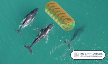 Le balene Ripple spostano 226 milioni di XRP in quattro transazioni PlatoBlockchain Data Intelligence. Ricerca verticale. Ai.