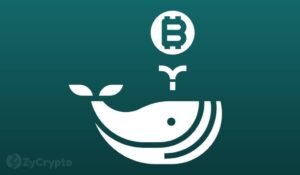 Bitcoin Key Whale Addresses Skyrocket To 6-Month High Despite Bearish Sentiments PlatoBlockchain Data Intelligence. Vertical Search. Ai.
