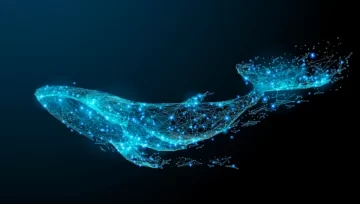 לוויתנים מביטים במטבעות האלטקוינים האלה בתוך התרסקות שוק הקריפטו לאחרונה של PlatoBlockchain מודיעין נתונים. חיפוש אנכי. איי.