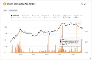 Le balene Bitcoin spostano partecipazioni, causano immense perturbazioni del mercato e speculazioni PlatoBlockchain Data Intelligence. Ricerca verticale. Ai.