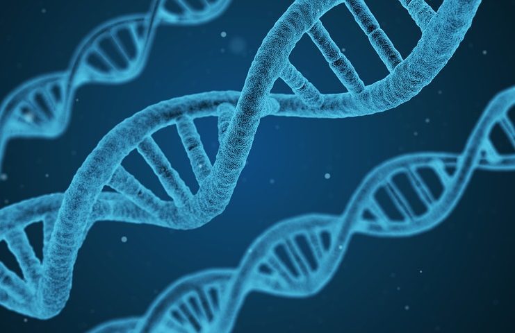 Startup Spotlight: RTP genom testi girişimi GeneCentric 2.5 milyon dolar topladı, daha fazla PlatoBlockchain Veri Zekası istiyor. Dikey Arama. Ai.