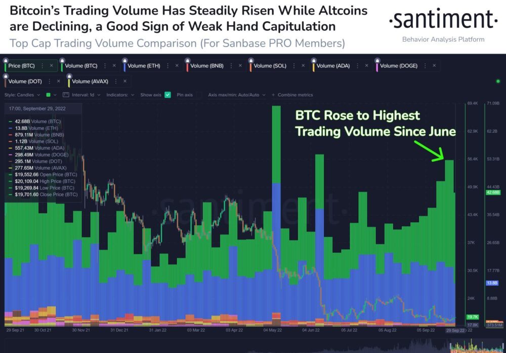 Bitcoin (BTC) Set to Rally 22% In Next Four Weeks, Here’s Why Bitcoin Price Analysis PlatoBlockchain Data Intelligence. Vertical Search. Ai.