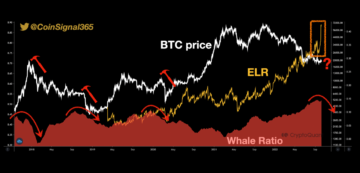 Bitcoin Whale Ratio stiger, mens gearing forbliver høj PlatoBlockchain-dataintelligens. Lodret søgning. Ai.