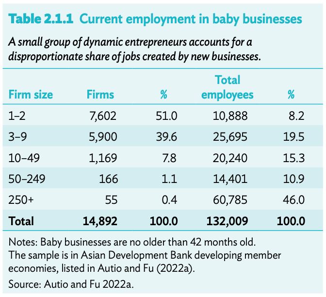 תעסוקה נוכחית בעסקי תינוקות, מקור: ADB 2022
