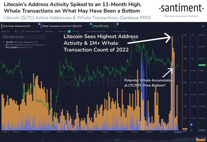 Crypto Whales Splurge Over $312,000,000 on One Ethereum-Based Altcoin in Massive Accumulation Frenzy: Santiment PlatoBlockchain Data Intelligence. Vertical Search. Ai.