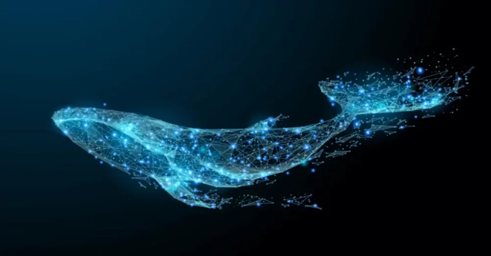 Frykt øker i kryptomarkedet med uvanlig Bitcoin Whale Behavior PlatoBlockchain Data Intelligence. Vertikalt søk. Ai.