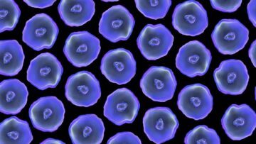Az öregedő sejtek segítenek meggyógyítani a sérült szöveteket PlatoBlockchain Data Intelligence. Függőleges keresés. Ai.