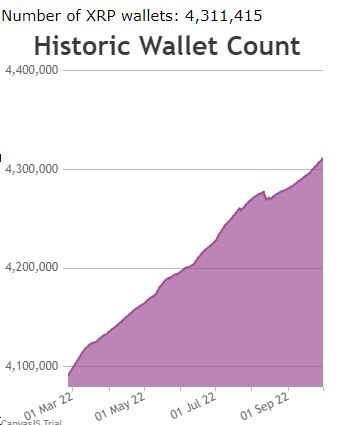 número de billeteras XRP por encima de 4M