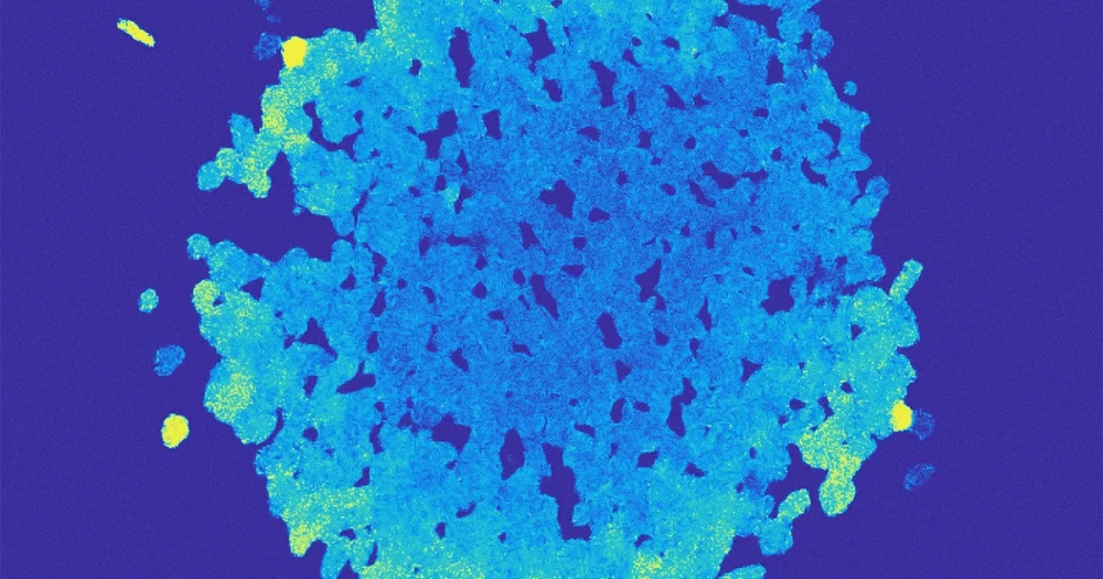 Oceanbakterier afslører en uventet flercellet form PlatoBlockchain-dataintelligens. Lodret søgning. Ai.