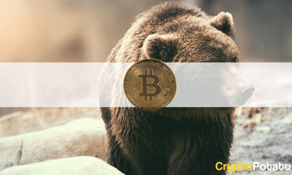 11 9 $ eller XNUMX XNUMX $: Bitcoins förväntade botten baserat på tidigare PlatoBlockchain-dataintelligens på Bear Markets. Vertikal sökning. Ai.