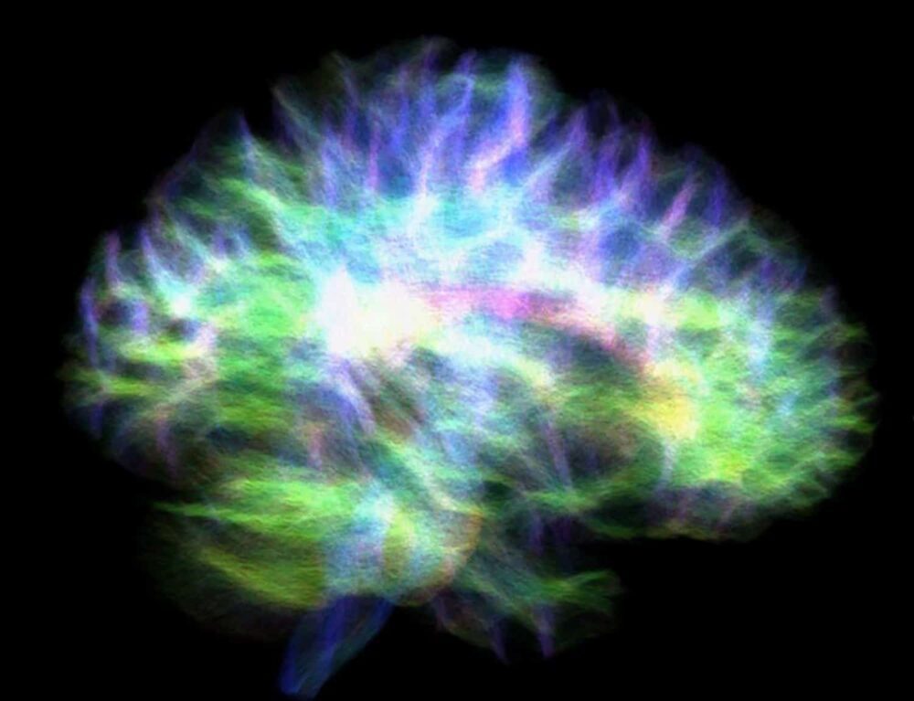 Den mest detaljerade kartan någonsin över hjärnans minnesnav PlatoBlockchain Data Intelligence. Vertikal sökning. Ai.