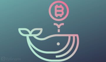 Mammoth BTC Whale: The Chinese Government Holds More Bitcoin Than Michael Saylor’s MicroStrategy BTCUSDC PlatoBlockchain Data Intelligence. Vertical Search. Ai.