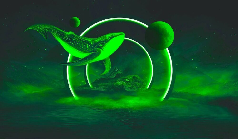 Ethereum Whale beveger seg brått over $250,000,000 XNUMX XNUMX i ETH mens markedene viker – her er kryptoen på vei PlatoBlockchain Data Intelligence. Vertikalt søk. Ai.