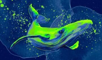 Les baleines récupèrent un Altcoin basé sur Ethereum tout en vidant les jetons d'échange FTX et Crypto.com : Santiment PlatoBlockchain Data Intelligence. Recherche verticale. Aï.
