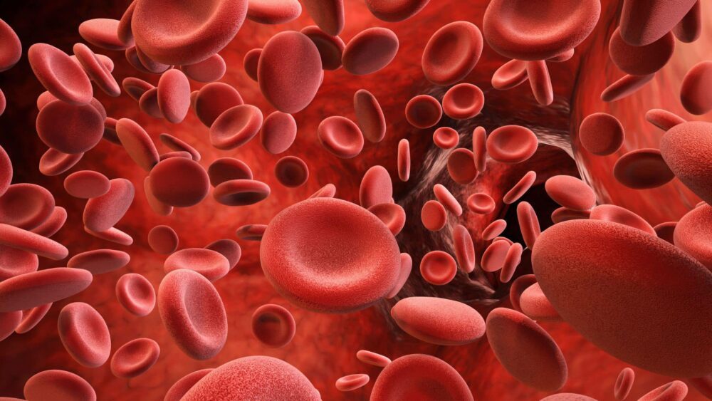 Study found new role for blood clotting protein in triggering inflammation PlatoBlockchain Data Intelligence. Vertical Search. Ai.