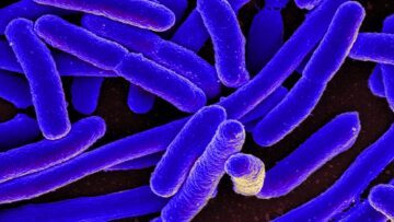 Naukowcy opracowują superbakterie obce całemu życiu na Ziemi Inteligencja danych PlatoBlockchain. Wyszukiwanie pionowe. AI.