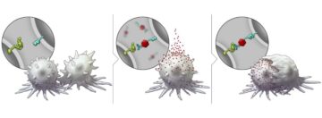 Nanotechnology platform sensitizes cancer cells to immunotherapy PlatoAiStream Data Intelligence. Vertical Search. Ai.