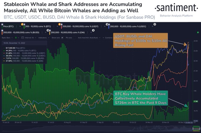 Bitcoiny o wartości 726,000,000 XNUMX XNUMX dolarów zakupione przez Crypto Whales w zaledwie dziewięć dni, twierdzi firma analityczna Santiment PlatoBlockchain Data Intelligence. Wyszukiwanie pionowe. AI.