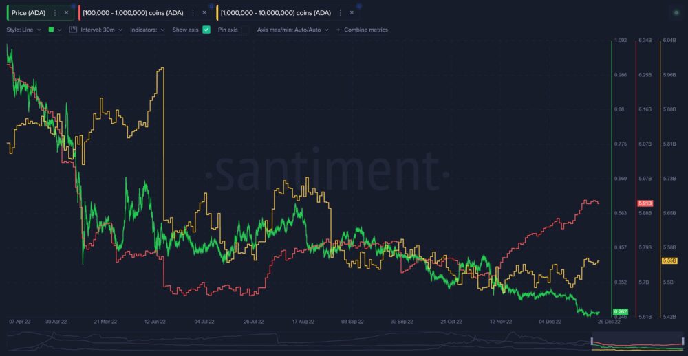 Cardano (ADA) and Litecoin (LTC) Whales Accumulating Aggressively, Says Crypto Analytics Firm Santiment PlatoBlockchain Data Intelligence. Vertical Search. Ai.