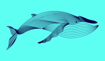 Les baleines XRP s'accumulent rapidement à la fin de 2022, déclare la société d'analyse de cryptographie Santiment PlatoBlockchain Data Intelligence. Recherche verticale. Aï.