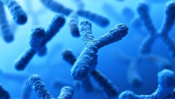 دانشمندان سلول های بنیادی مرد و زن را از یک فرد مشابه پلاتوبلاکچین داده ها ایجاد کردند. جستجوی عمودی Ai.