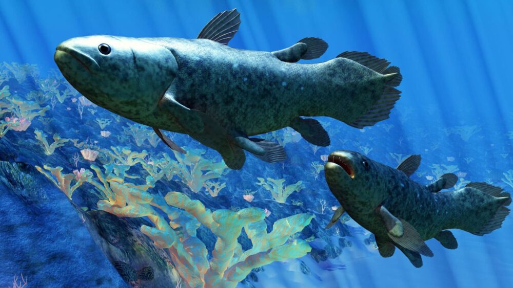 Oamenii de știință au descoperit o rețea de celule stem în peștii antici PlatoBlockchain Data Intelligence. Căutare verticală. Ai.