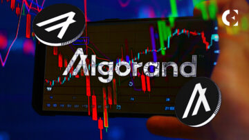Algorand прорывается ниже 0.2324 доллара, так как медвежий стресс подавляет рынок