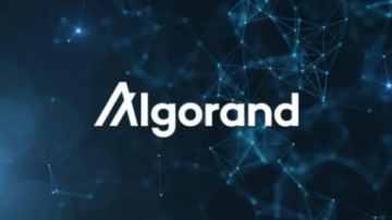 Algorand TVL Hits $177 Million As Altcoin Rally Continues – Can ALGO Sustain This Push?