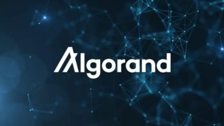 Algorand TVL alcanza los $ 177 millones mientras continúa el rally de Altcoin: ¿puede ALGO sostener este impulso?