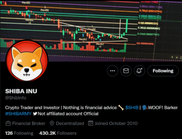 Best Shiba Inu Influencers to Follow in 2023