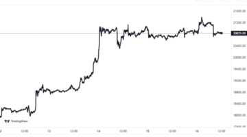 Bitcoin Bullish: بڑی وہیل نے حال ہی میں 37.1k BTC جمع کیا