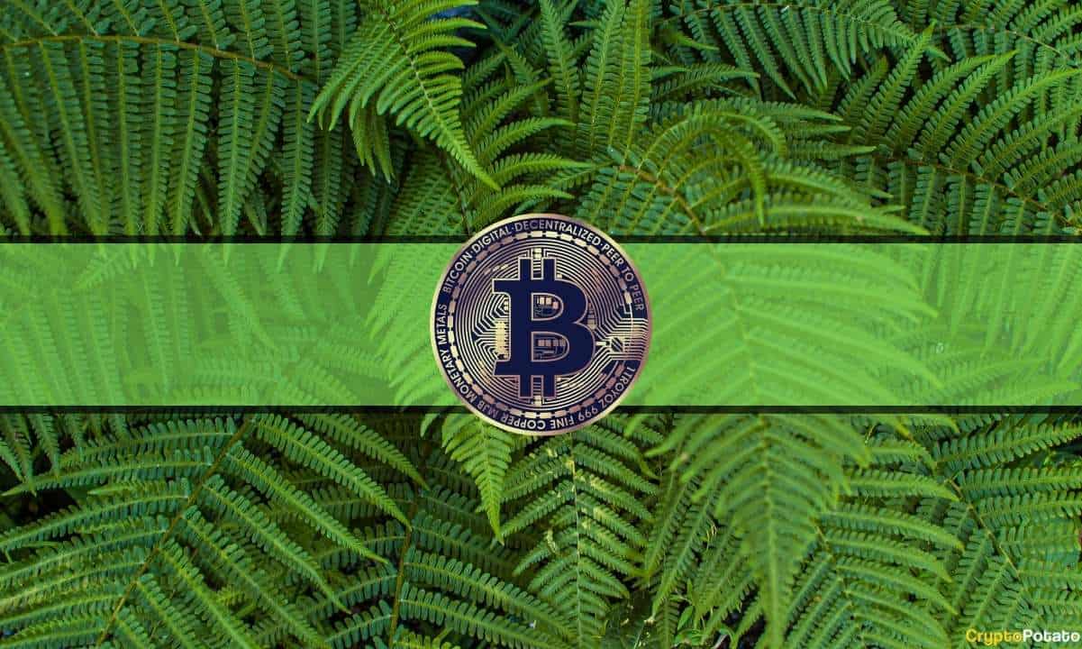 BTC 2019 Bin Dolarlık PlatoBlockchain Veri İstihbaratının Peşindeyken 24'dan itibaren Bitcoin Alıcıları Kâra Döndü. Dikey Arama. Ai.