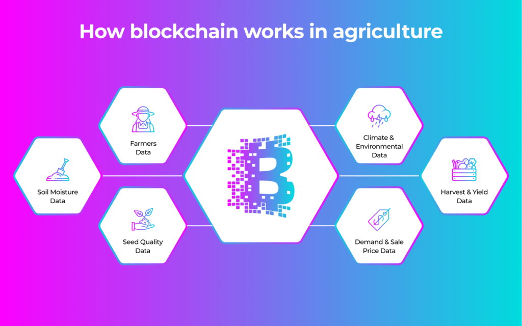 Blockchain-in-agricultura