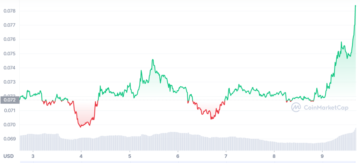 BSC Whales Amass Dogecoins; DOGE’s Price Surges in 24 Hours