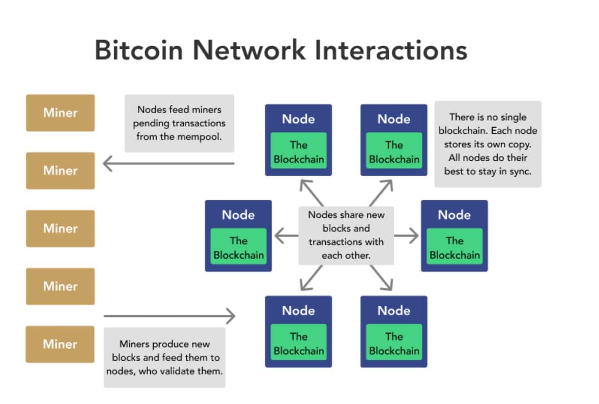 Node Bitcoin vs penambang