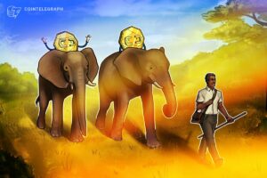 Srednjeafriška republika si ogleduje pravni okvir za sprejetje kriptovalut