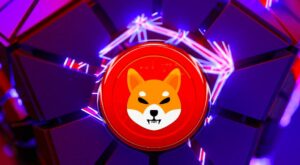 Conflict Arises As Open Tussle Starts Between Shiba Inu Lead Developer & Core Member