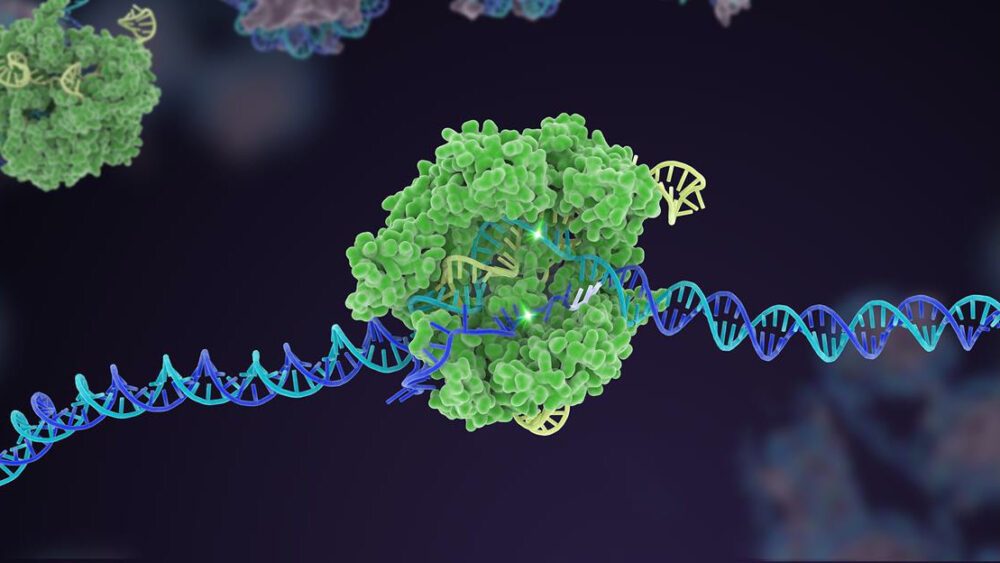 CRISPR의 거친 첫 XNUMX년은 그 잠재력의 표면에 불과합니다