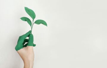Eco-Friendly Cryptocurrencies: Why They Are the Future Of Crypto