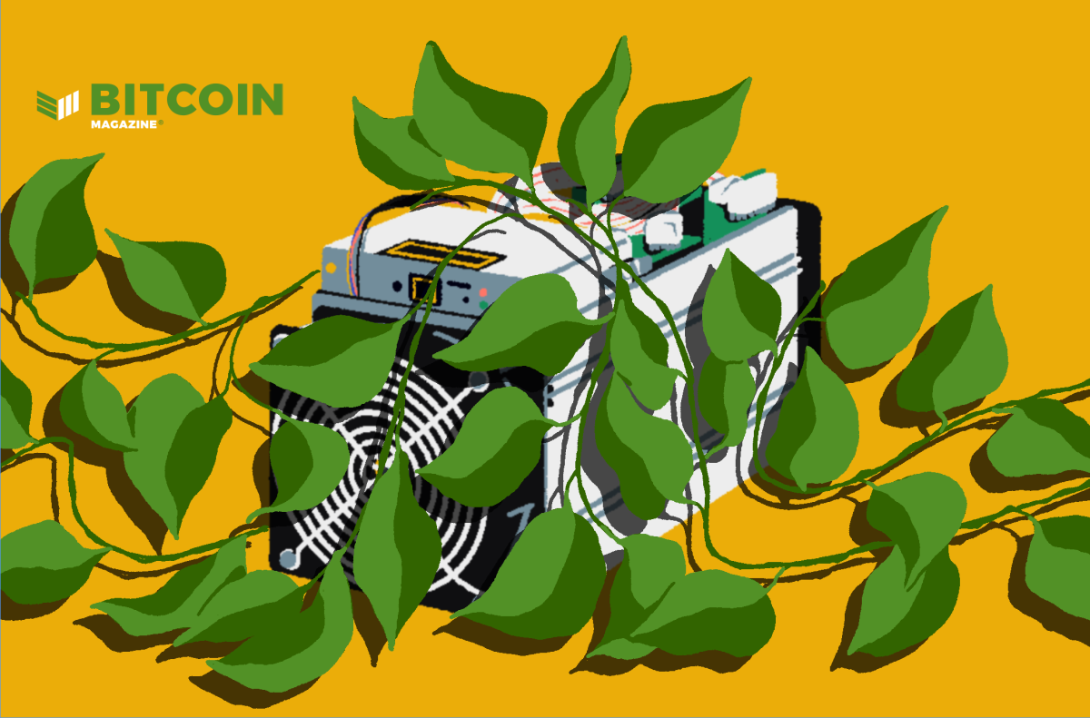 One Of America’s Largest Hemp Processors Makes Entry Into Sustainable Bitcoin Mining