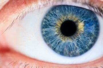 ผลิตเนื้อเยื่อตาโดยใช้สเต็มเซลล์และ PlatoBlockchain Data Intelligence การพิมพ์ทางชีวภาพแบบ 3 มิติ ค้นหาแนวตั้ง AI.