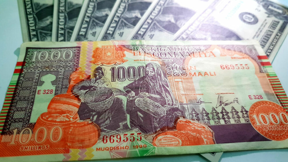 تقرير: الصومال تكافح التضخم والمزورين بالأوراق النقدية الجديدة