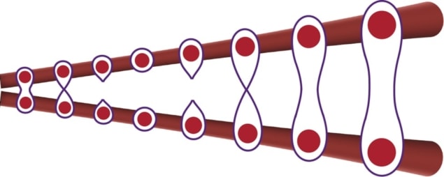 Il ripristino dell'entanglement di fotoni potrebbe migliorare la comunicazione quantistica e l'imaging