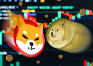 Сиба-ину, руководство по анализу цен Dogecoin на предстоящую неделю