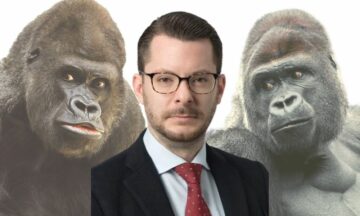 VC, seeking tech gorillas, prepares for digital IPO
