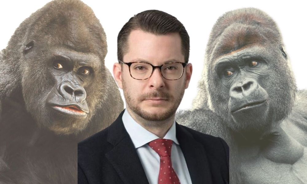 VC, seeking tech gorillas, prepares for digital IPO regenerative PlatoBlockchain Data Intelligence. Vertical Search. Ai.