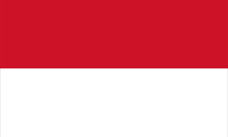 Endonezya - Metaverse tabanlı kamu hizmetleri