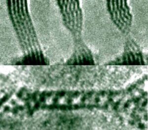 高级电子显微镜：研究纳米材料的新范式