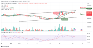 Bitcoin Price Prediction for Today, February 20: BTC/USD Gains 2.17% to Touch $25,114 Level