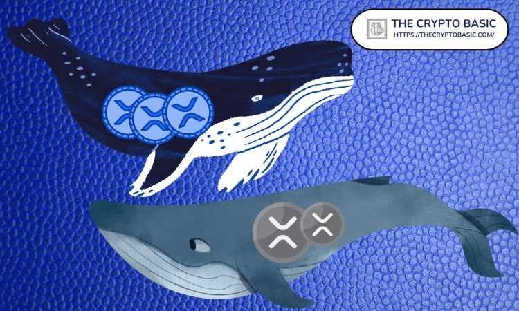 Baleias criptográficas embaralham quase 600 milhões de XRP à medida que os preços caem 3%